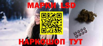 spice Камышлов