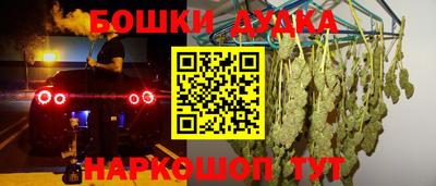 spice Камышлов
