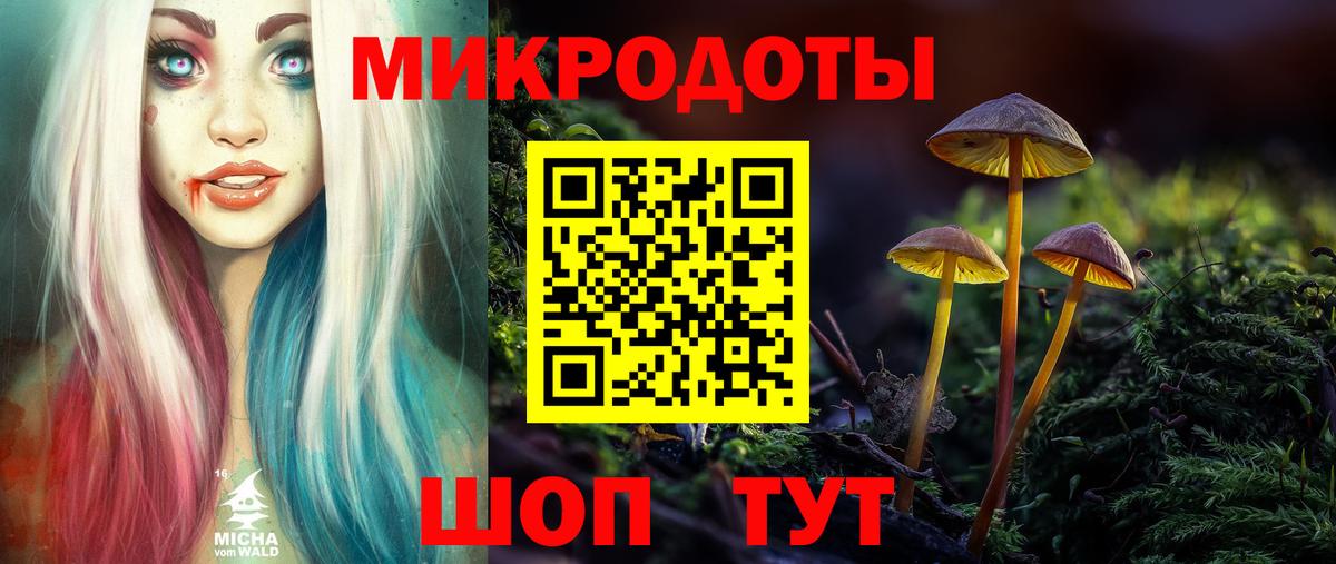 Галлюциногенные грибы Psilocybe Невинномысск