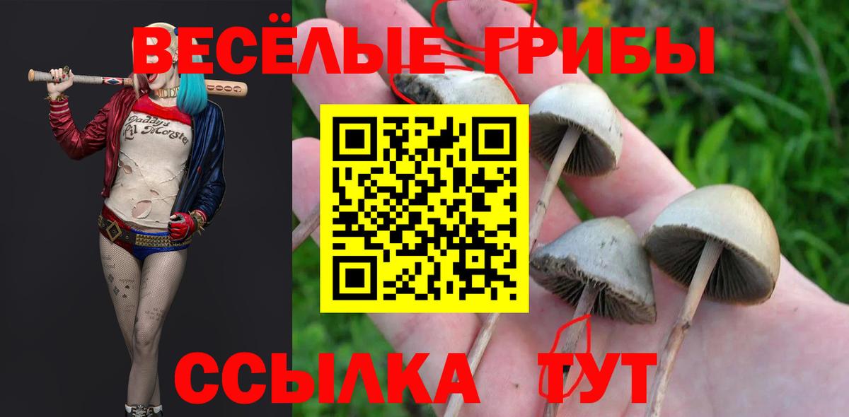 Невинномысск  купить наркоту  Вход с VPN  Галлюциногенные грибы Magic Shrooms 